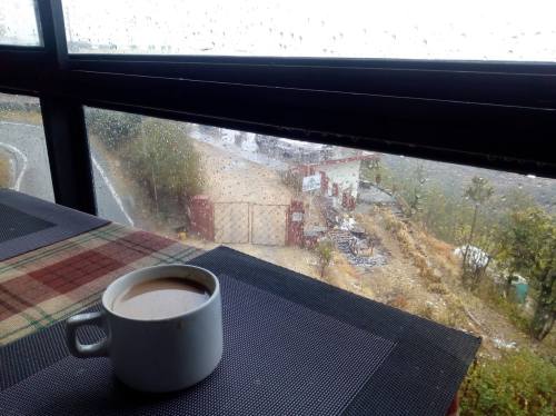 cup of tea near a window